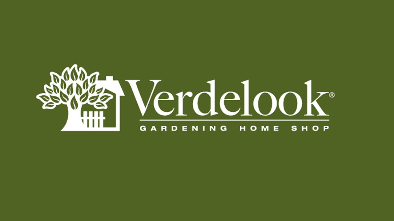 Verdelook Matassa Zinc – Filo di Ferro Zincato Ø 2,7 mm × 100 m 3 Verdelook