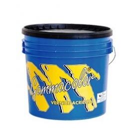Vernice acrilica protettiva grigia kg 20 gammacolor