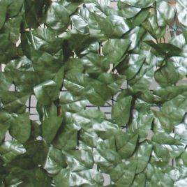 Sempreverde lauro verdelook rete 1x3 mt. ombreggiante giardino