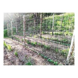 Rete rampicante ideal star 2x100 mt - colore bianco