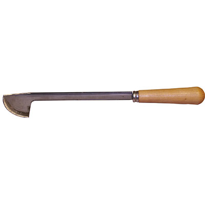 Cogliasparagi piemonte 762 rinaldi cm 37